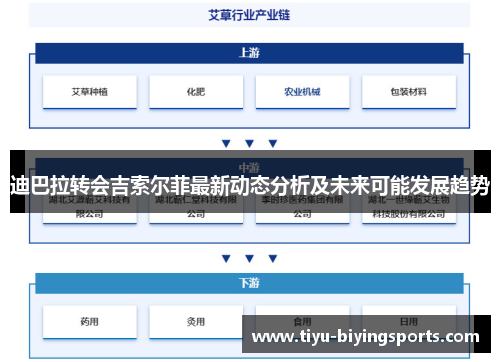 迪巴拉转会吉索尔菲最新动态分析及未来可能发展趋势 迪巴拉转会吉索尔菲最新动态分析及未来可能发展趋势